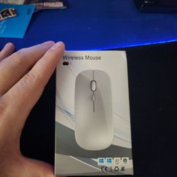 New Portable And WORK Mouse