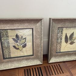 Set Of 2 Framed Art