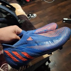 Addidas Predator