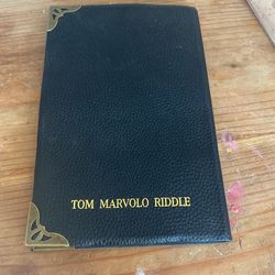 tom maravolo riddle journal