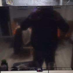 24 In Roku Tv With Wall Mount 