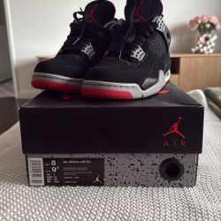 Air Jordan 4 bred 2019