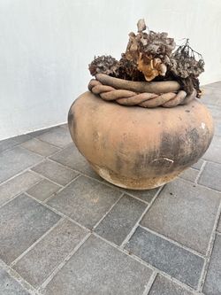 Pot