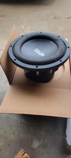 10" Subwoofer
