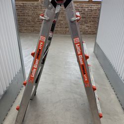Little Giant Megalite Ladder