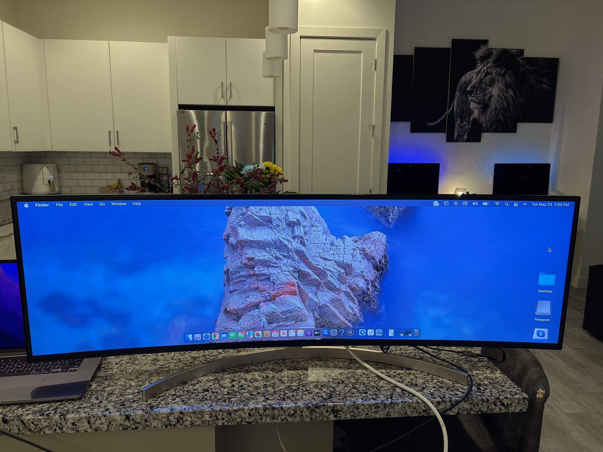 49” LG Monitor