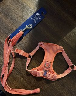 Pet Harness And Leash -Small ( New) $15 OBO