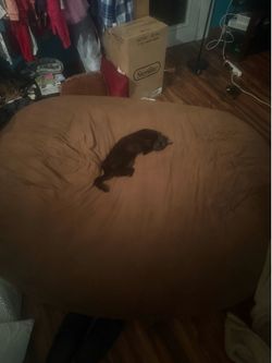XL Bean bag