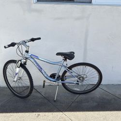 Schwinn Walmart Bike