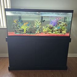 75 Gallon Aquarium 