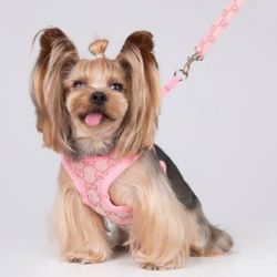 Designer Dog Harnesses 