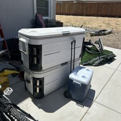 Cole Men Cooler