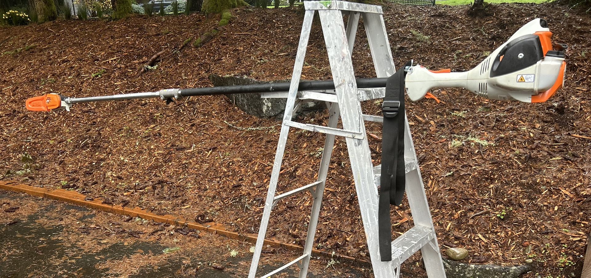 Stihl 56C Gas Powered Pole Saw