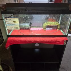 Fish Tank 
