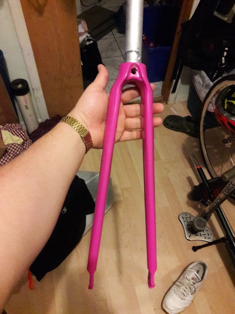 Carbon Bladed Fork