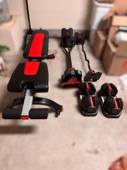 Bowflex SelectTech 552 Adjustable Dumbbells (Pair) + Adjustable Bench