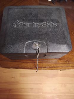 Sentry safe Lock Box