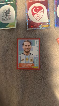 Panini stickers