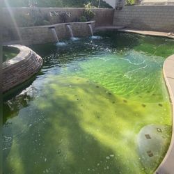 Green Pool 