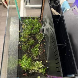 All In One Fish Tank 