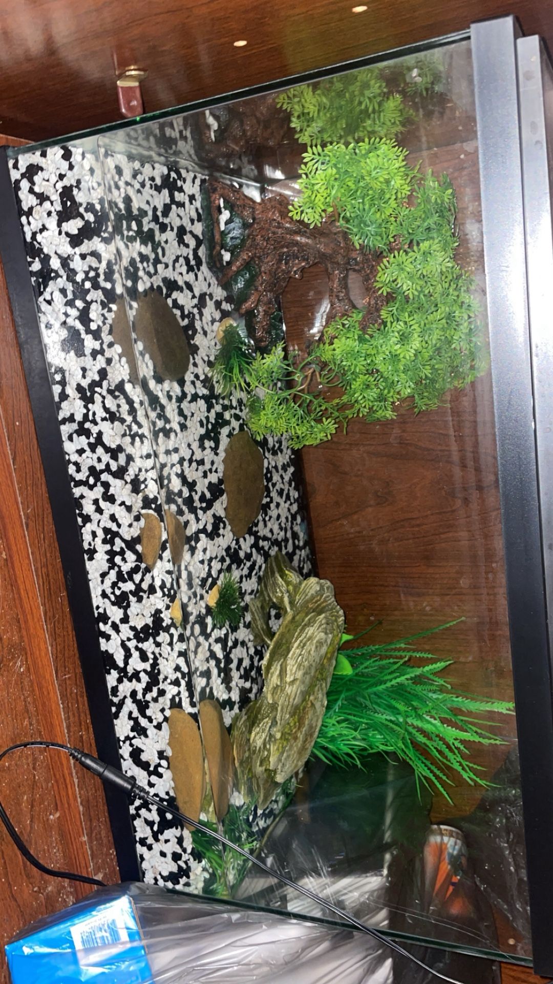 10 Gallon Aquarium Complete Setup