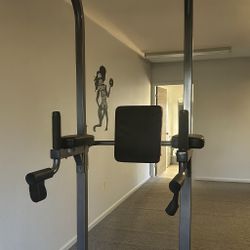 Pull Up Dip Station 