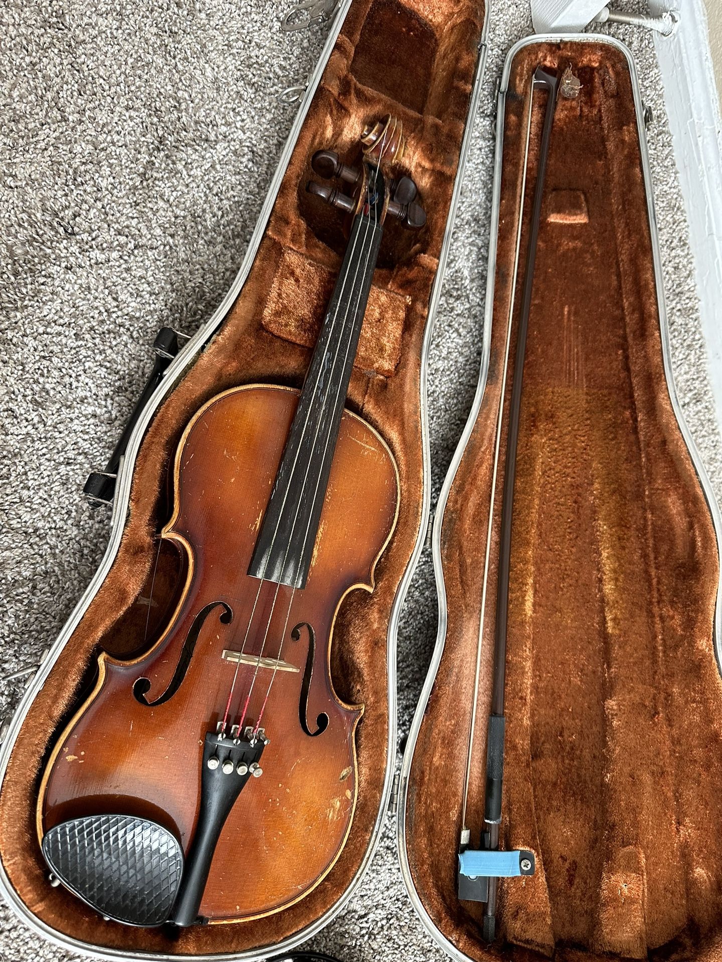 14 1/2 Viola