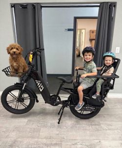 HovCart Cargo E-Bike Family Bike