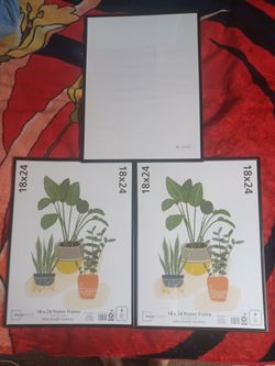 Poster Frames