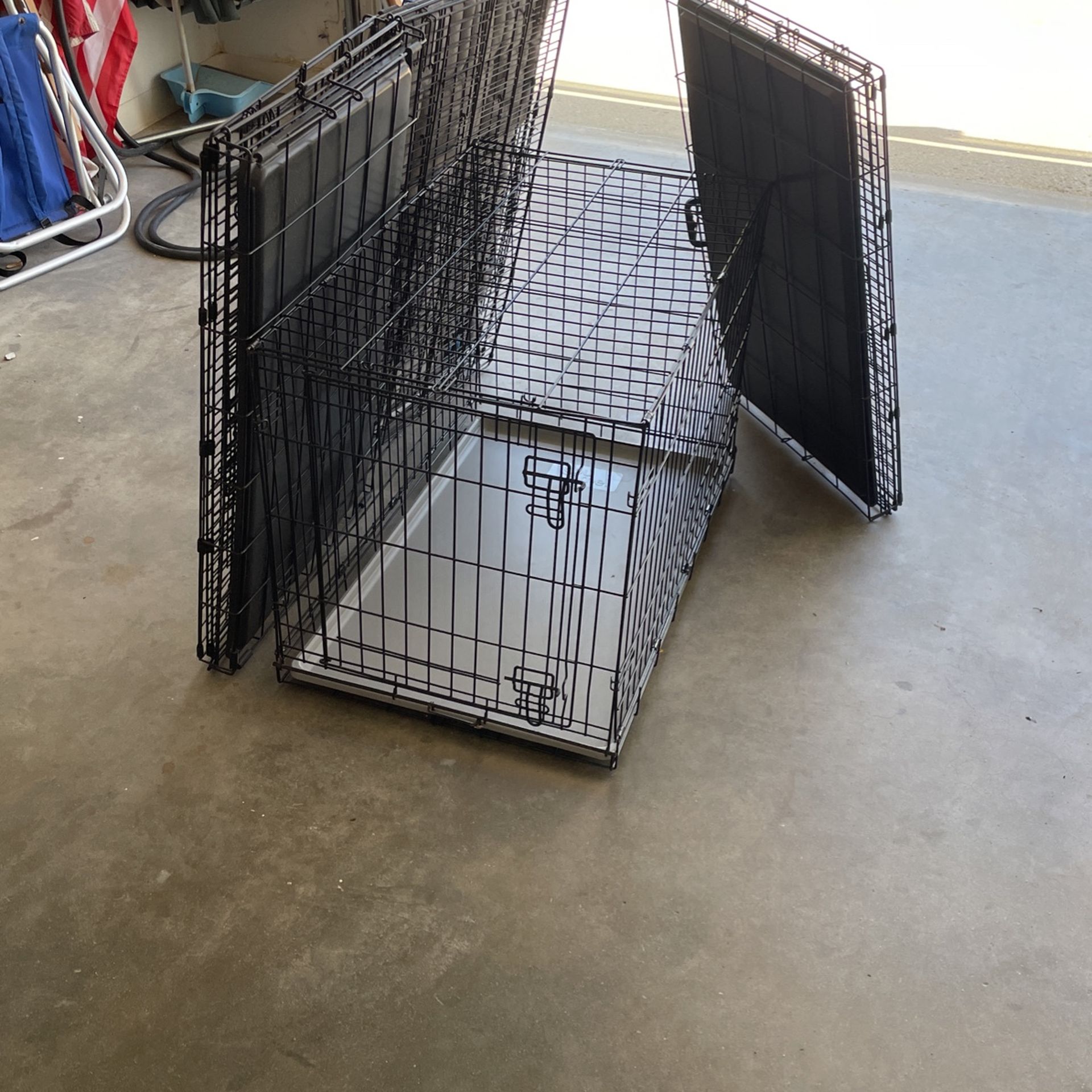 Dog Kennels