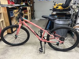 Cannondale Kids Quick 24 - Sherpa