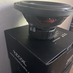 12” Subwoofer 
