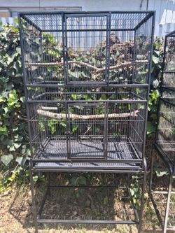Big Bird Cage 🐦 🐦🐦
