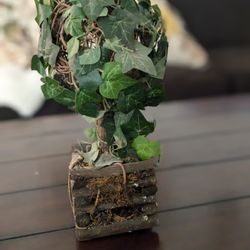 Artificial Ball Topiary English Ivy Wood Stem with Wooden & Moss Planter

