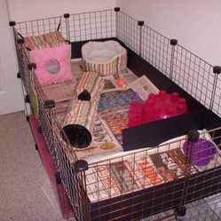 Used Cage For Hedgehogs