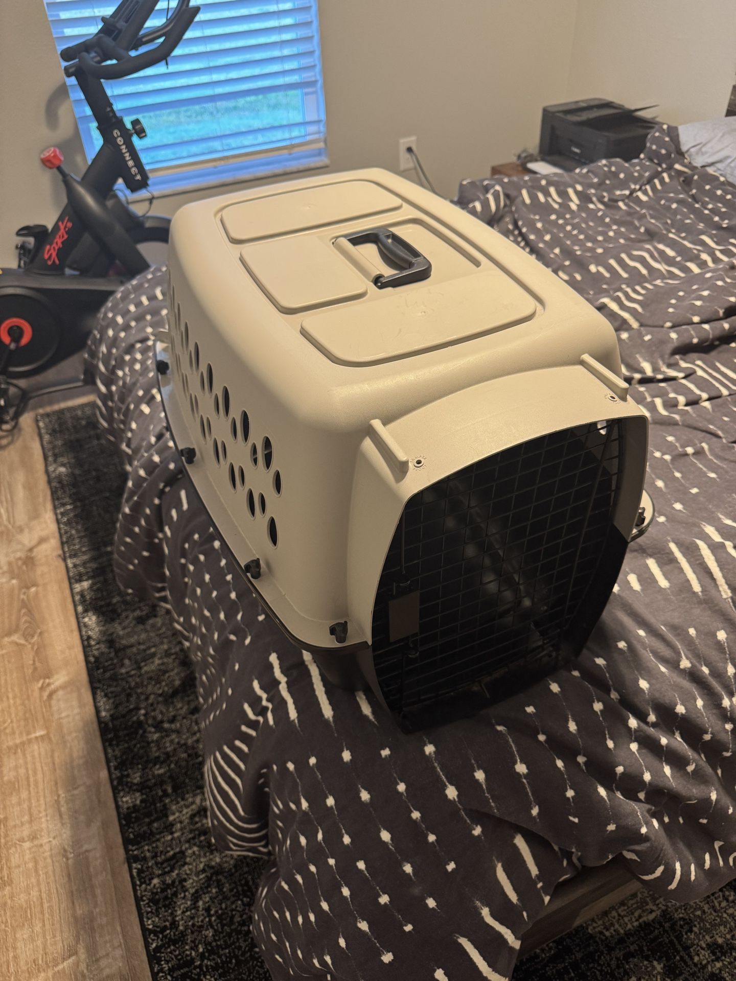Carrier For Small Pets