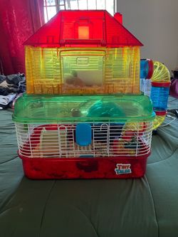 Hamster cage