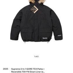 Supreme 2-in-1 GORE-TEX Parka + Reversible 700-Fill Down Liner Jacket