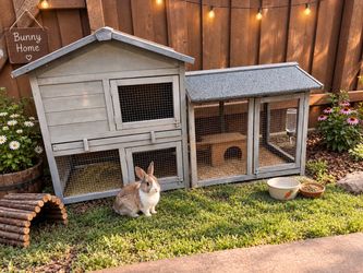 Rabbit Hutch pet Enclosure