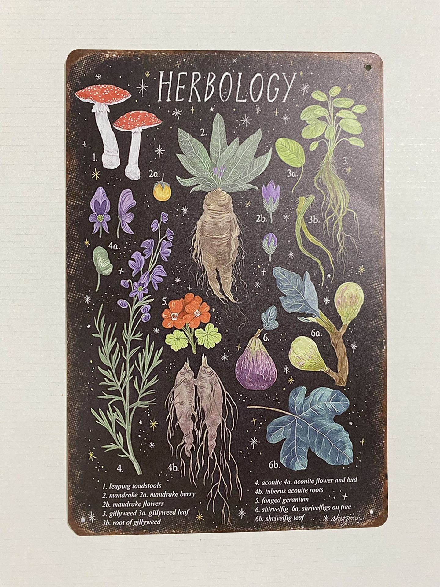 Whimsical Harry Potter inspired Herbology Plant Metal Sign Botanical Garden Art