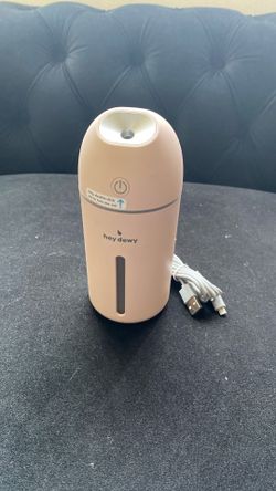 Portable Facial Humidifier 