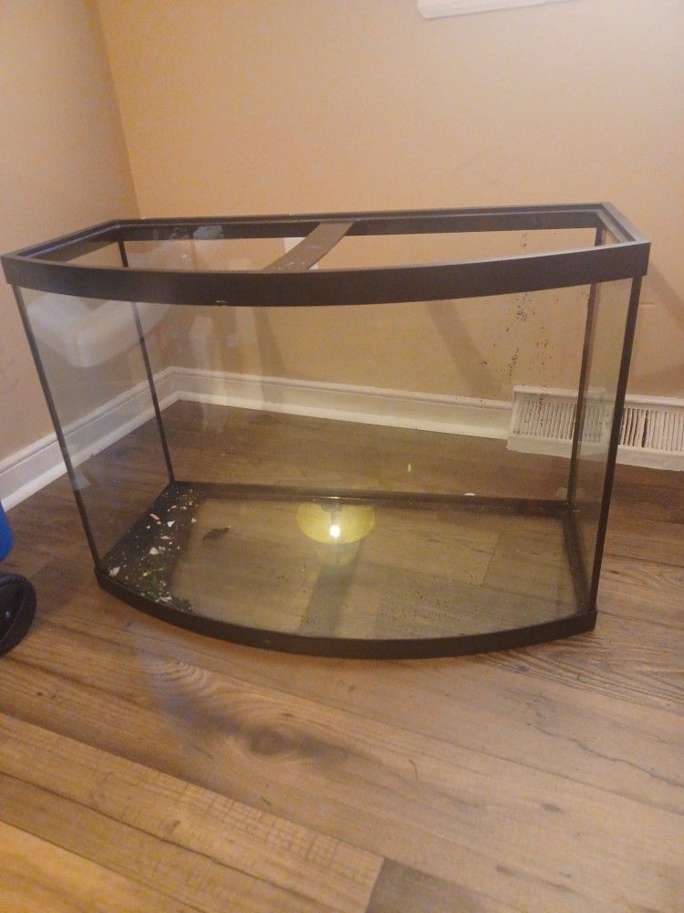 40 Gallon Fish Tank