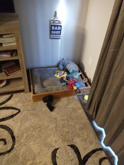 Basic Puppy bed