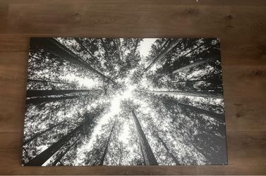 Canvas wall art