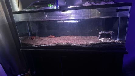 55 gallon tank w stand