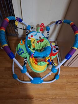 Baby einstein  bouncer