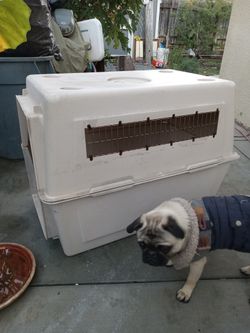 Dog House For Sale
