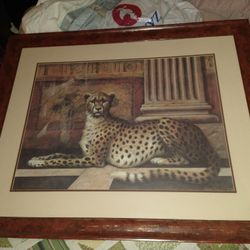 Elaine Vollherbst Huge Pompeii Cheetah.. Must See. 