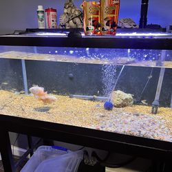 Fish tank !!!!!! 
