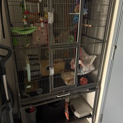 Exotic Nutrition  Brisbane Cage 